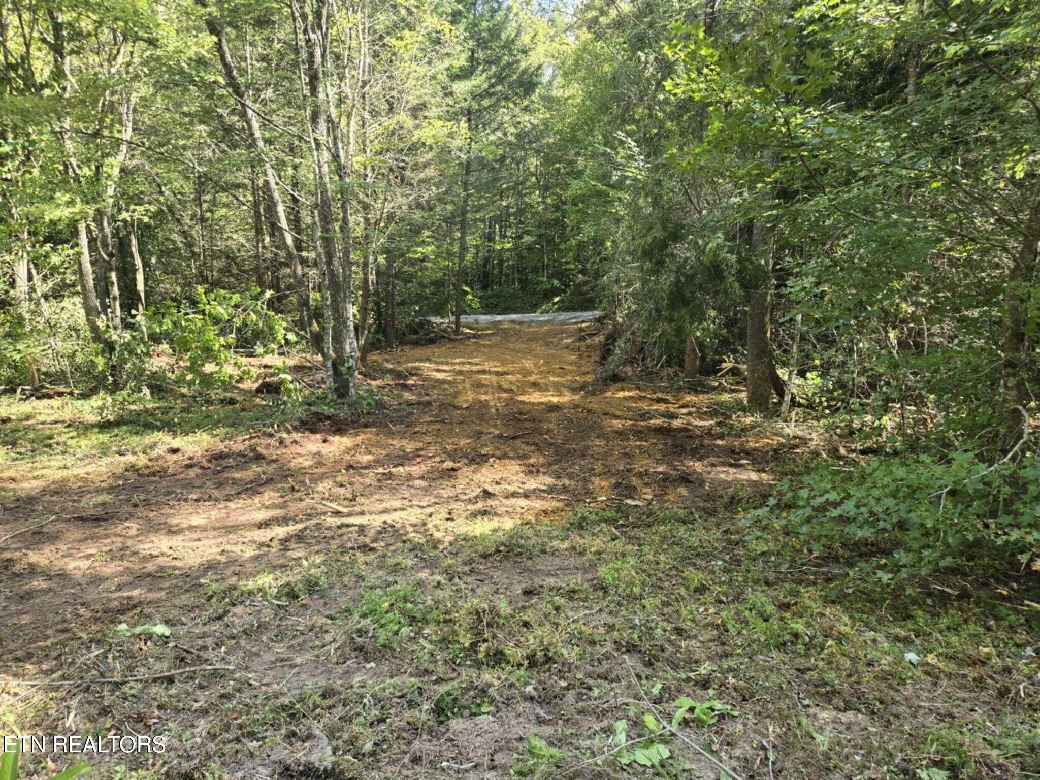 35 Acres in Mooresburg, TN