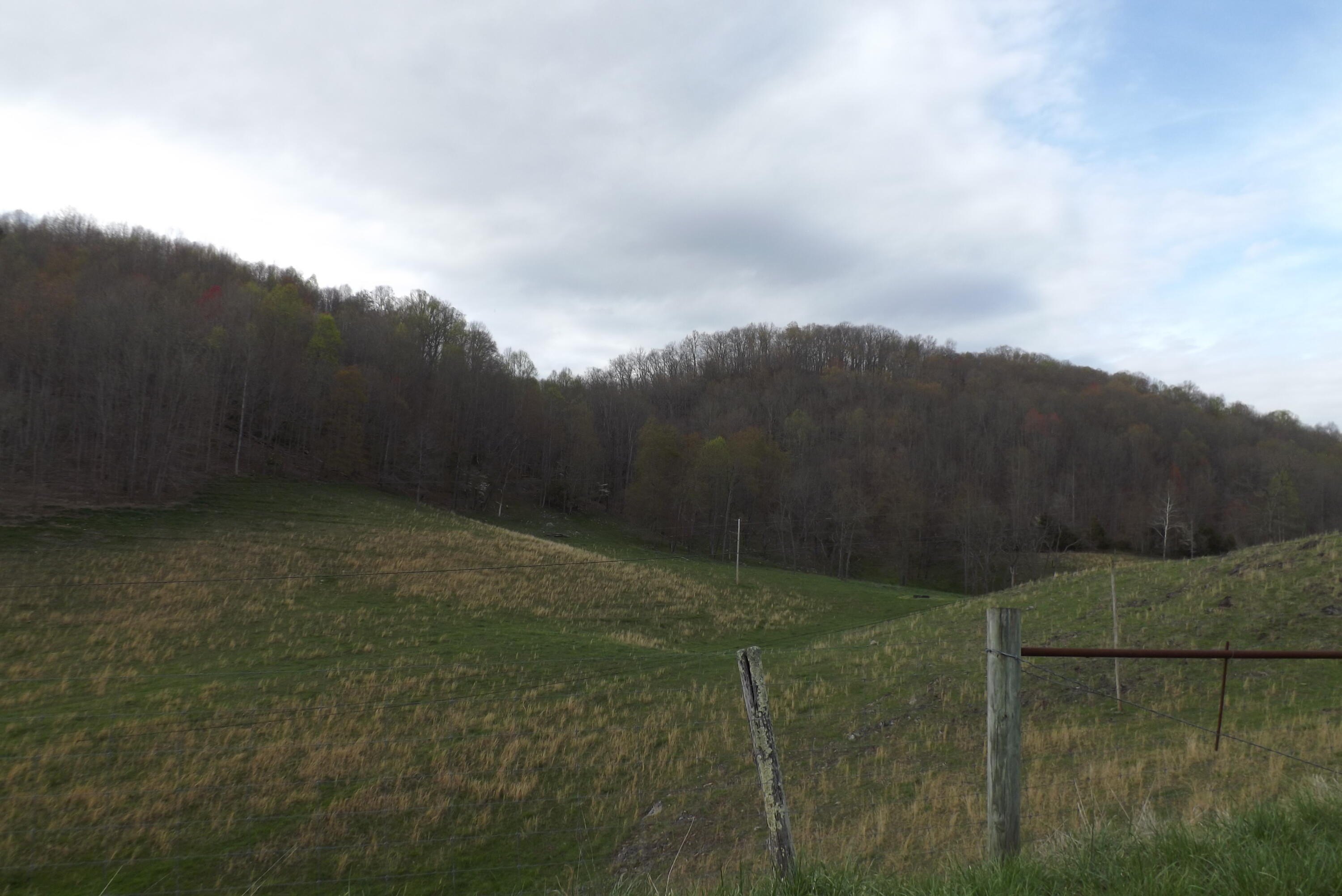 118+ Acres in Castlewood, VA
