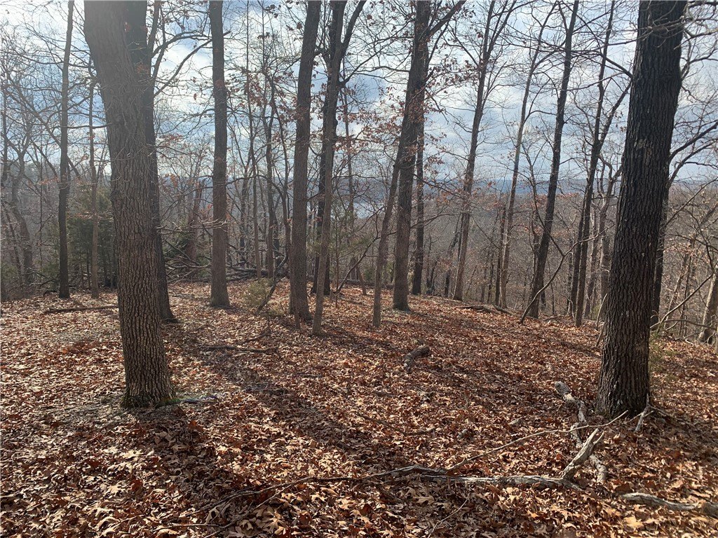Picture 14