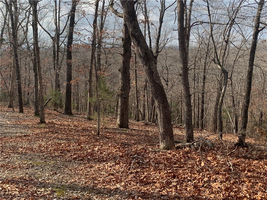 Picture 16