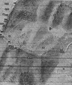 Hillside Hunting Land with Creek Access