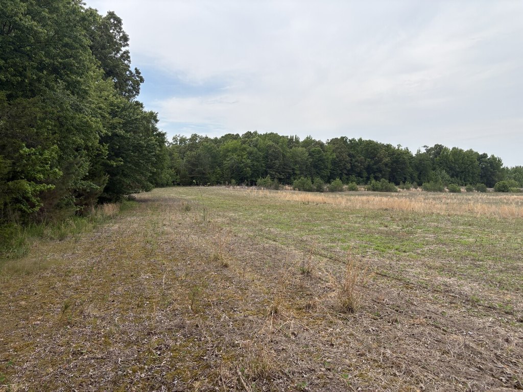 Picture 23