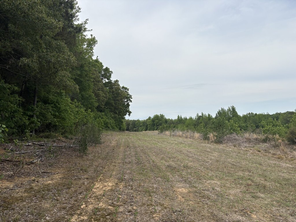 Picture 24