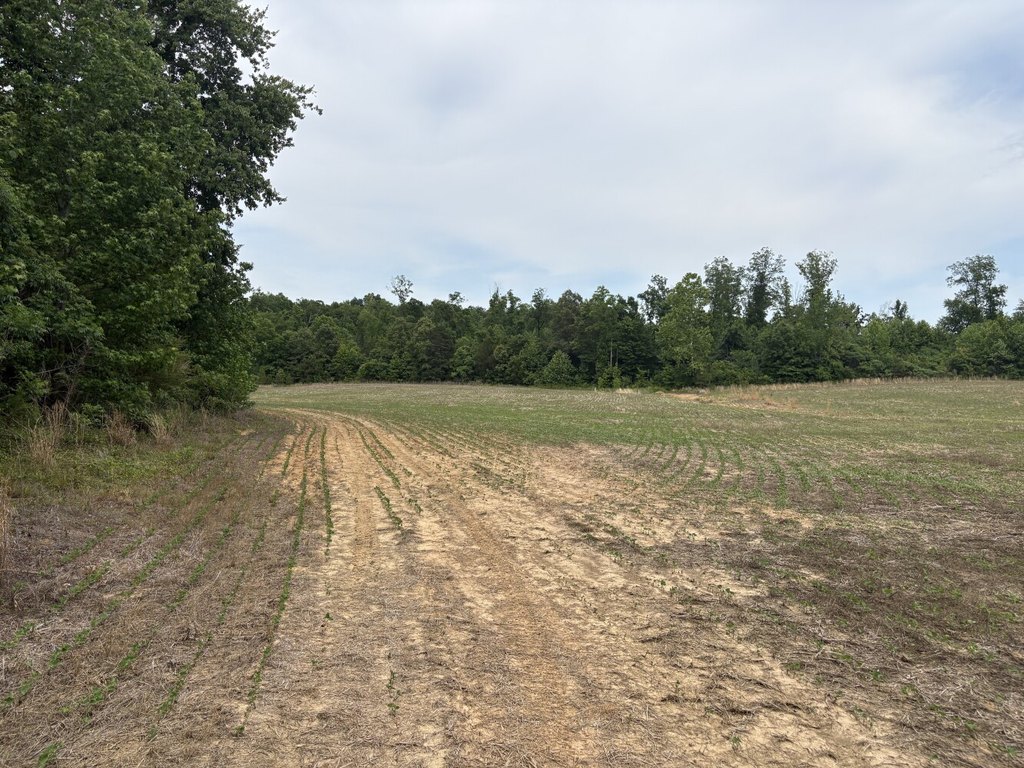 Picture 21