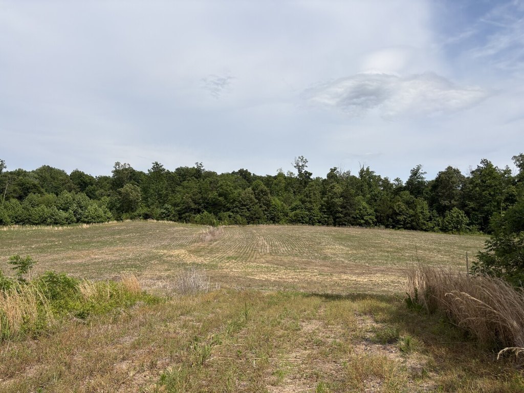 Picture 29