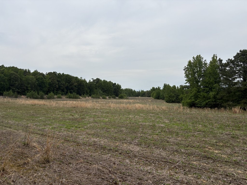Picture 22