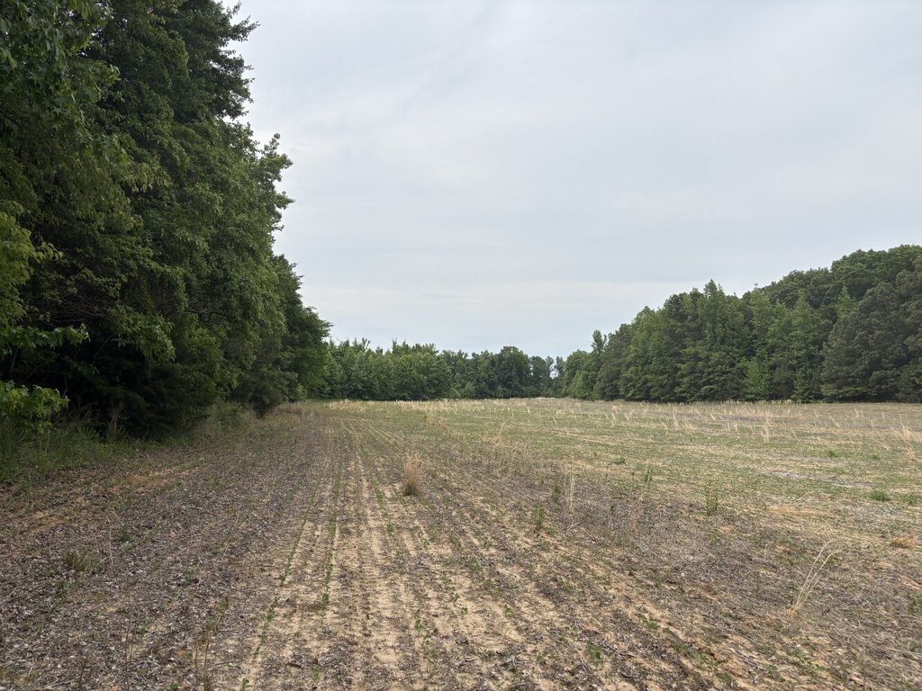 Picture 26