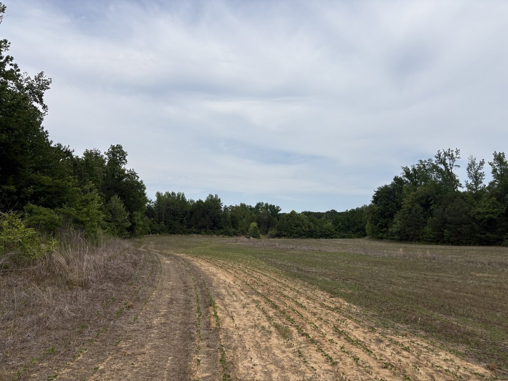 Picture 19