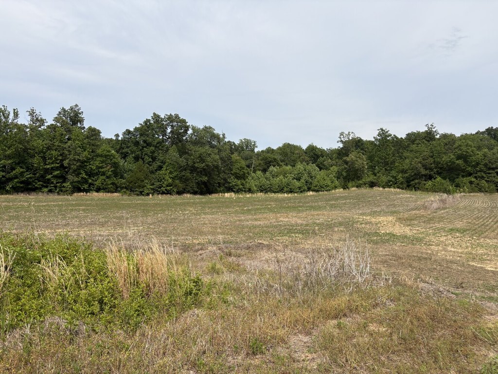 Picture 31