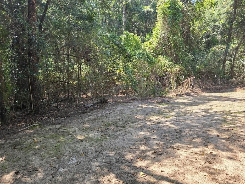 Picture 14