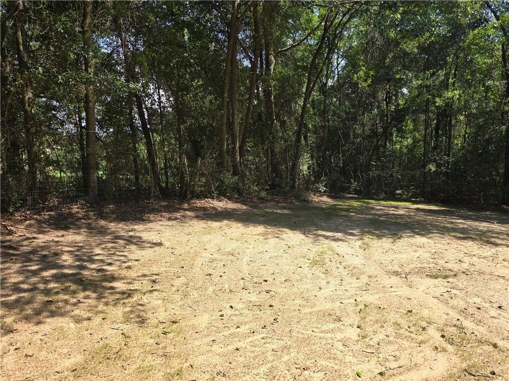 Picture 23