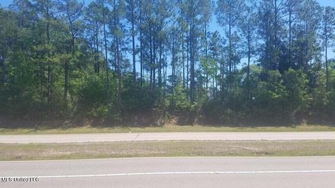 Cleared Acreage with Highway Access
