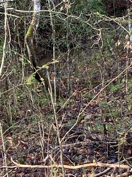 Residential Land in Fiesta Hills