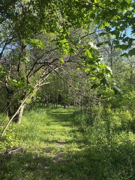 Land Available in Madison District