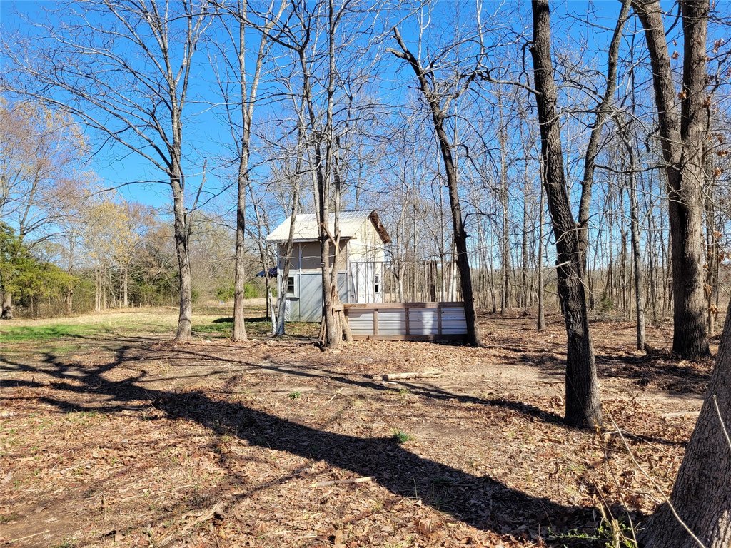 Picture 19
