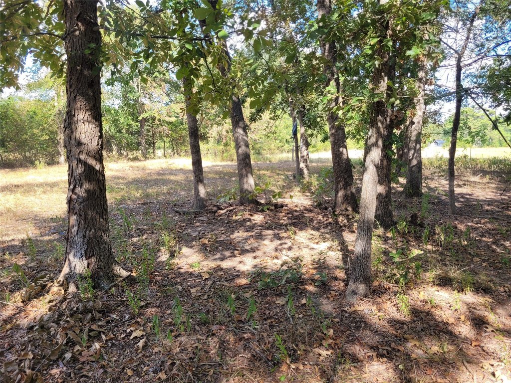 Picture 19