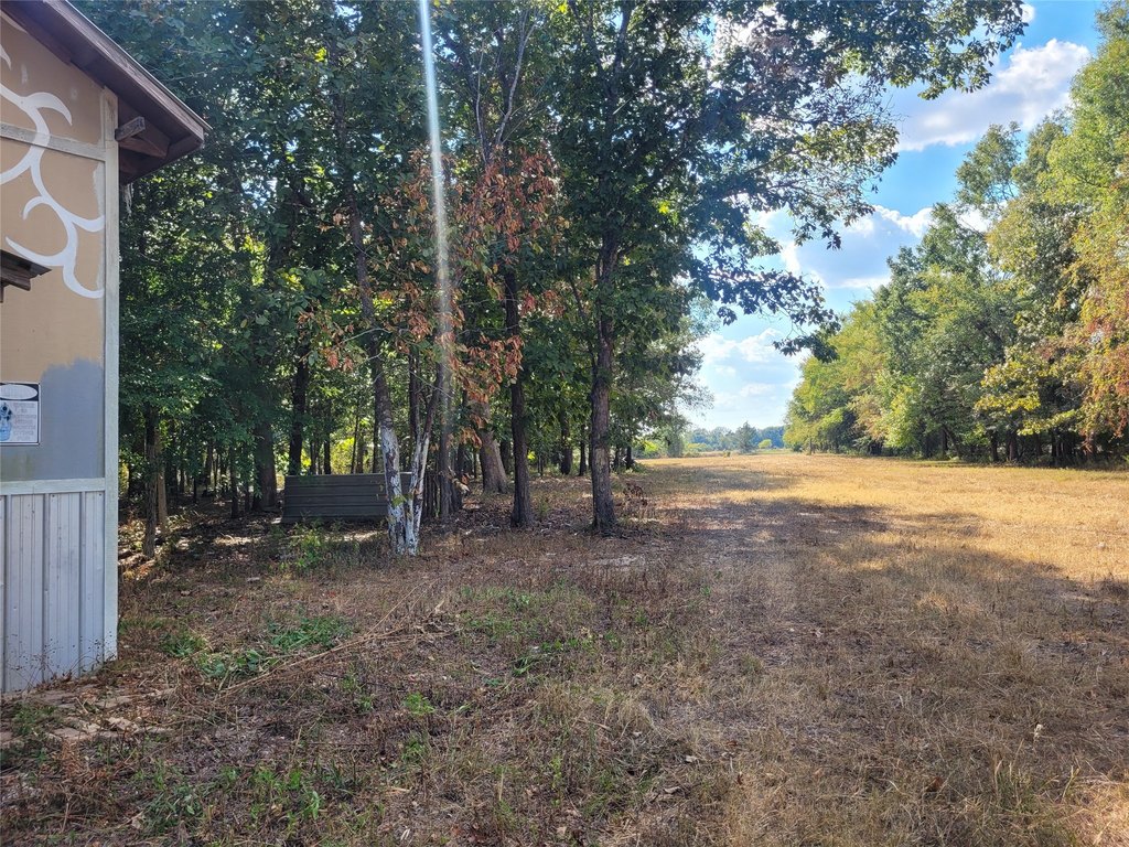 Picture 26