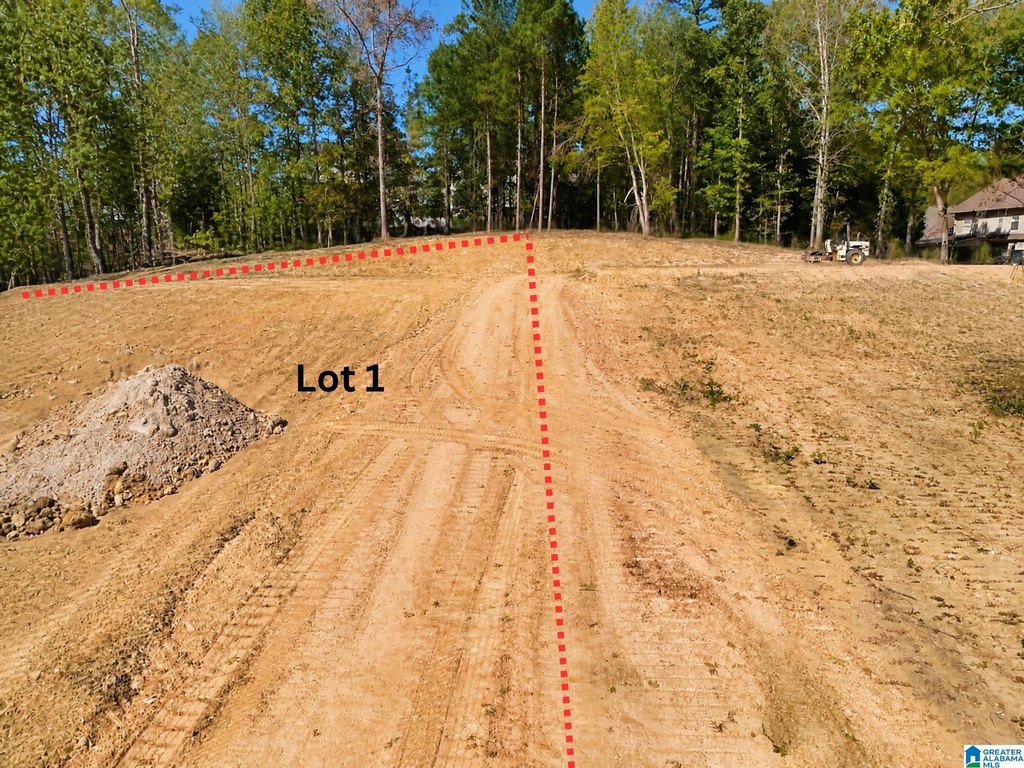 Picture 4