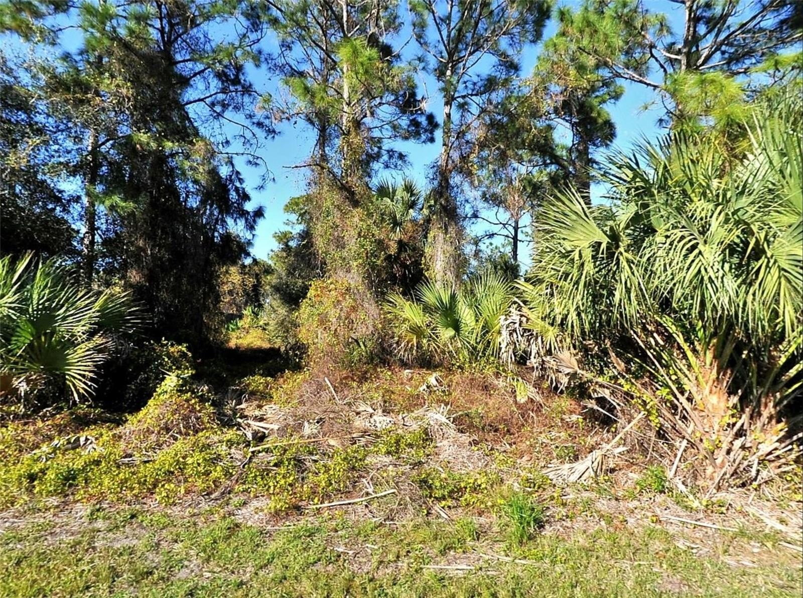 Residential Lot in North Port