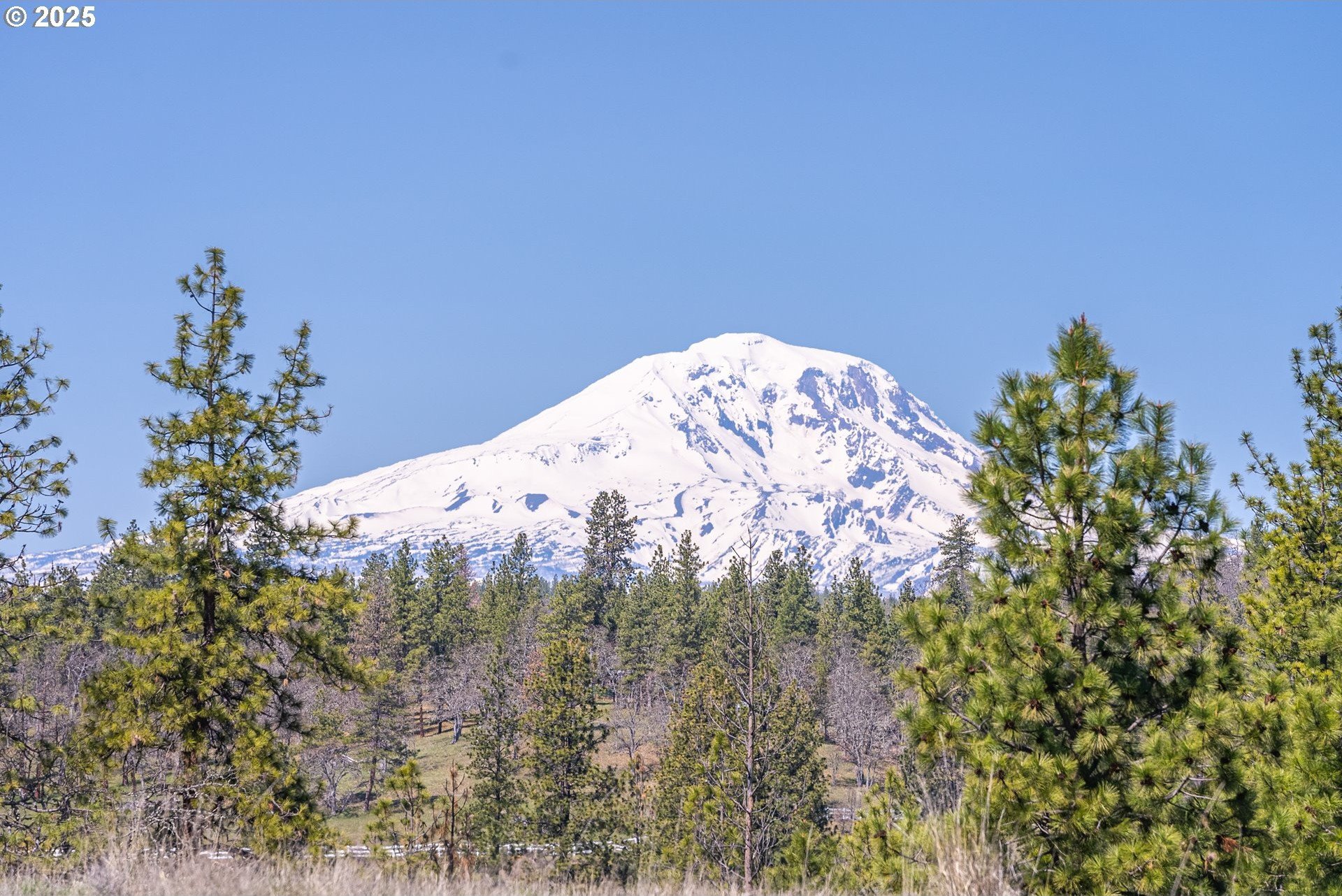 Land with Mountain Views