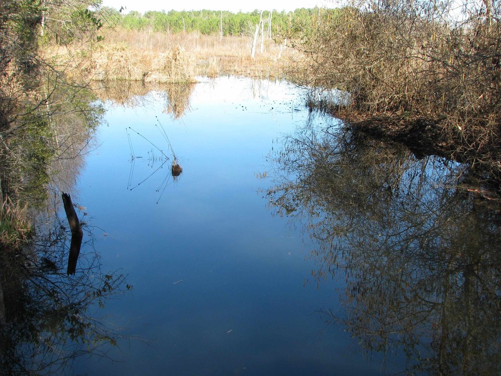Picture 38