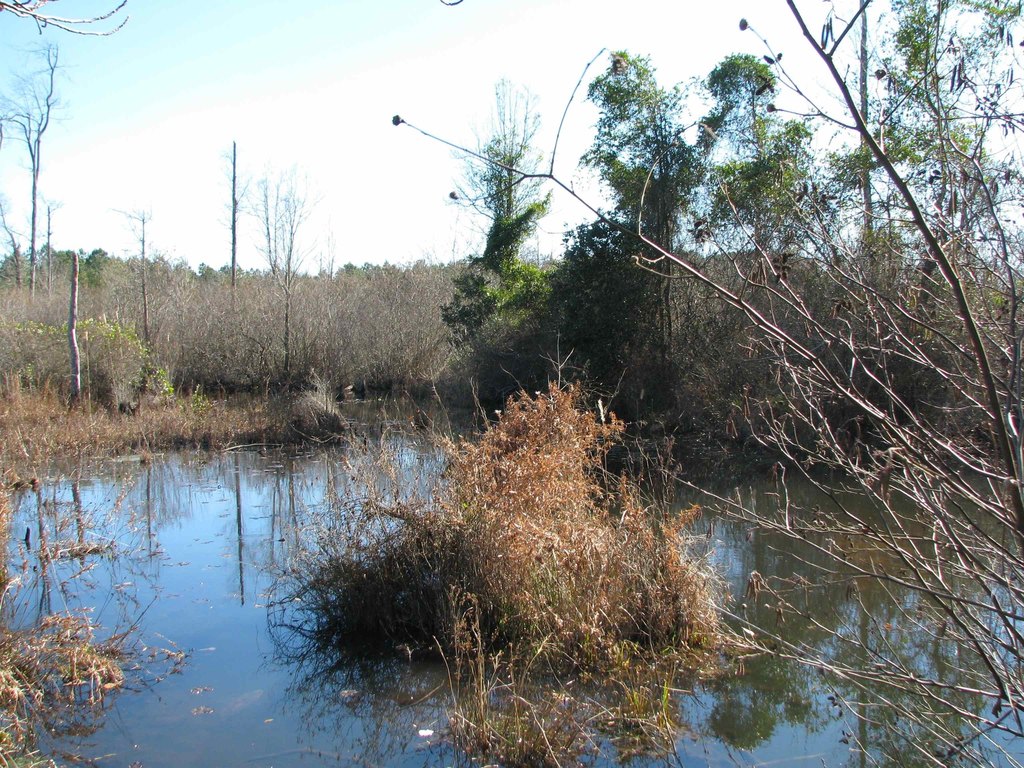 Picture 43