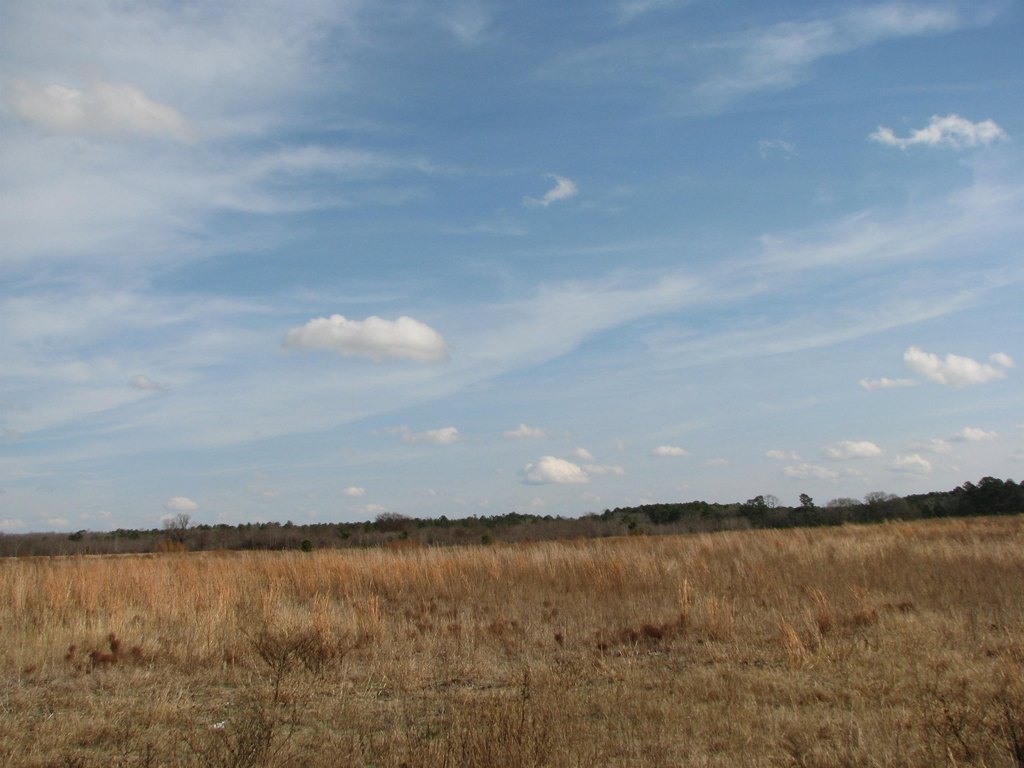 Picture 29