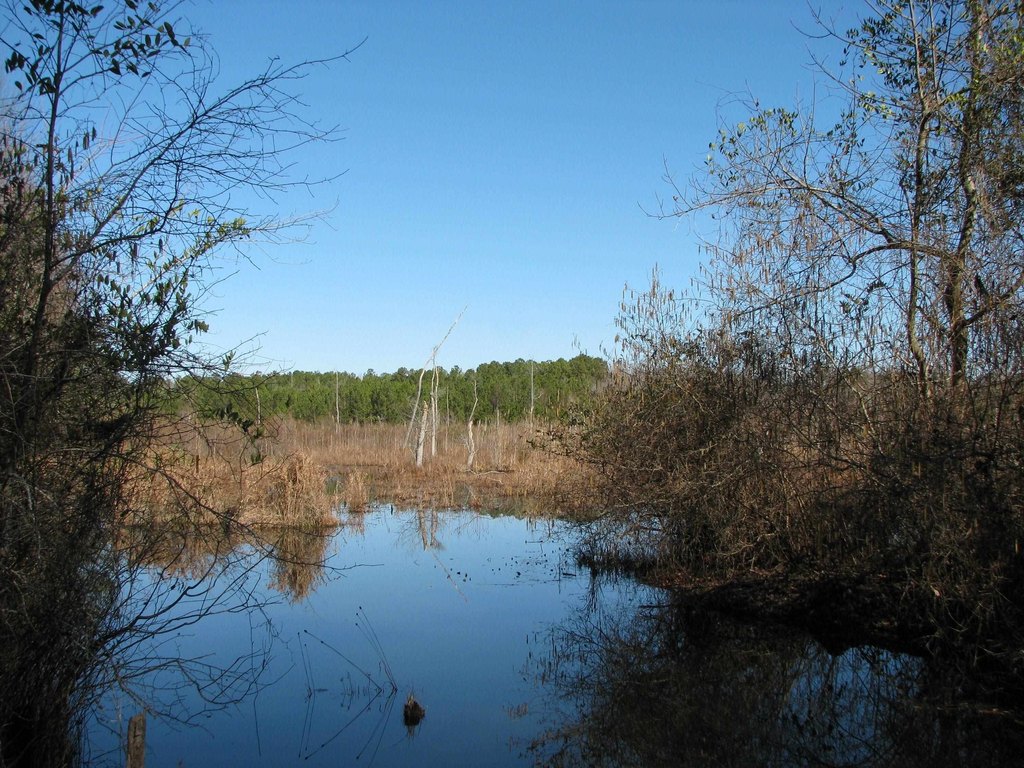 Picture 4