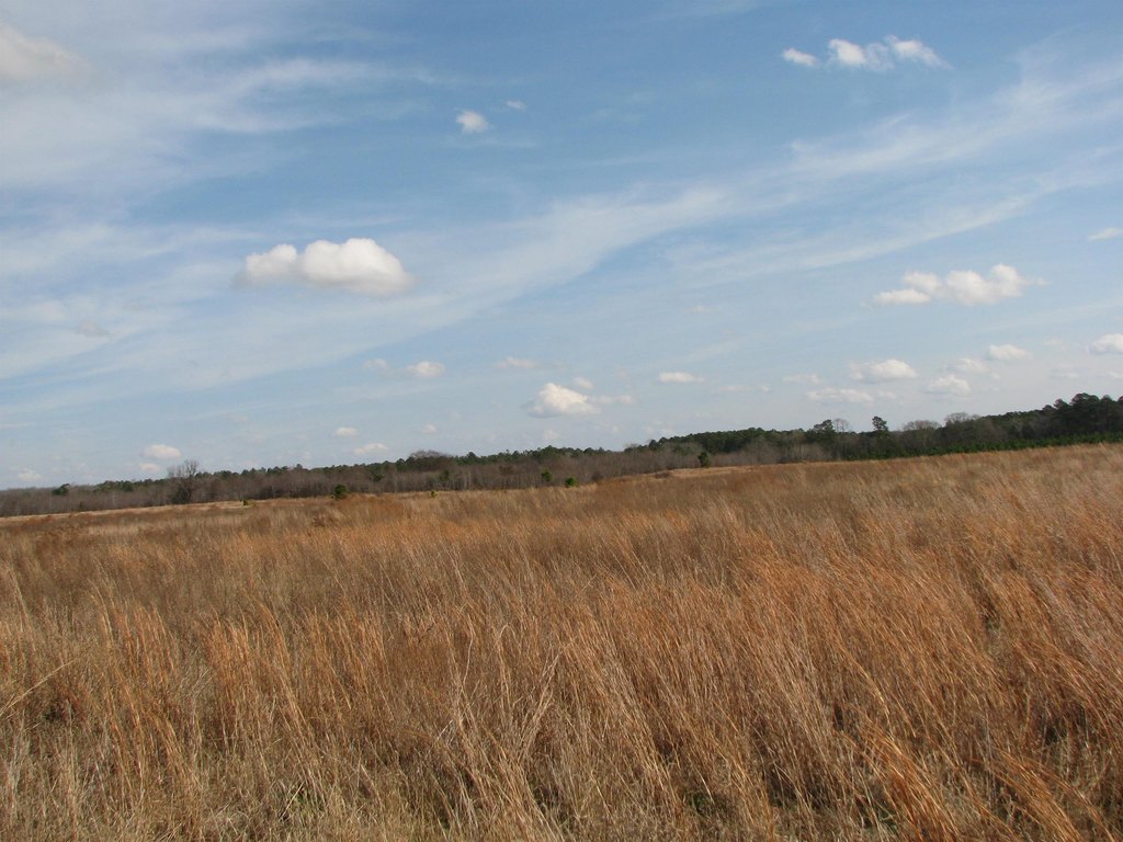 Picture 30