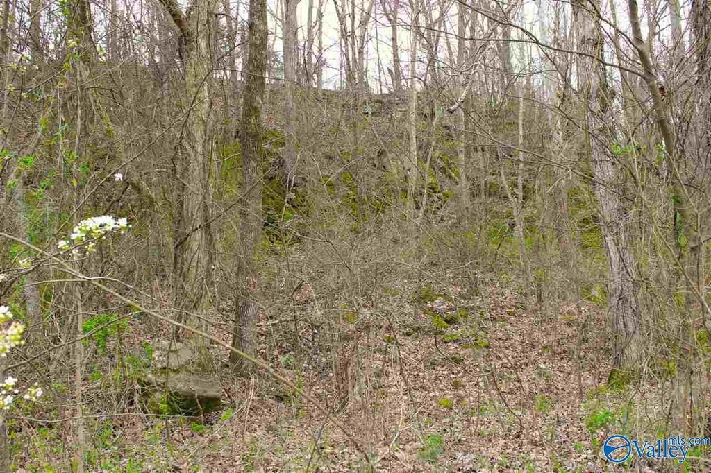 Picture 11