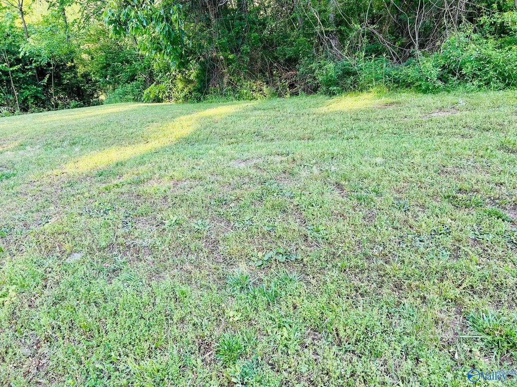 Picture 18