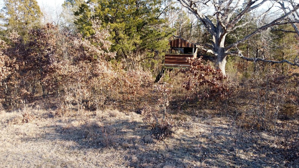 Picture 11