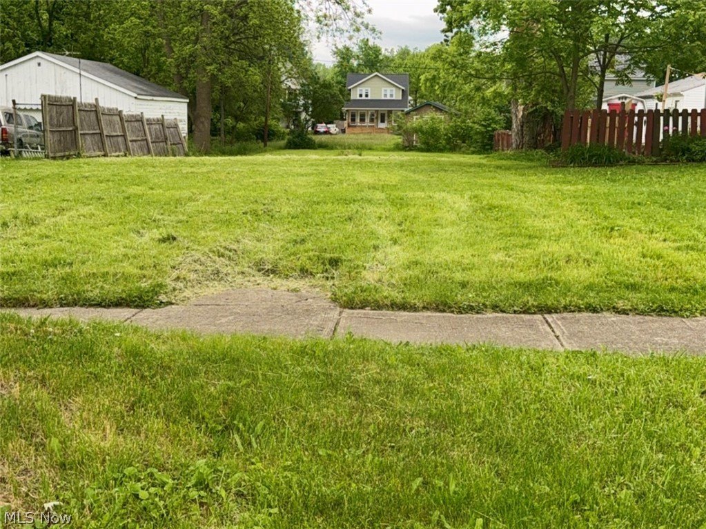 Picture 3