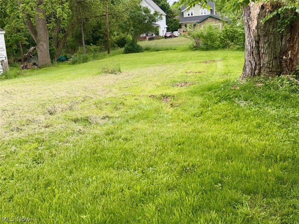 Picture 6