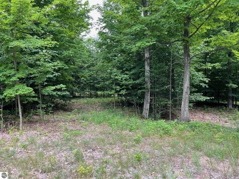 Empire, MI Vacant Land Parcel