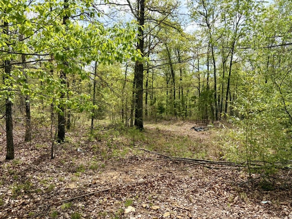 Picture 24