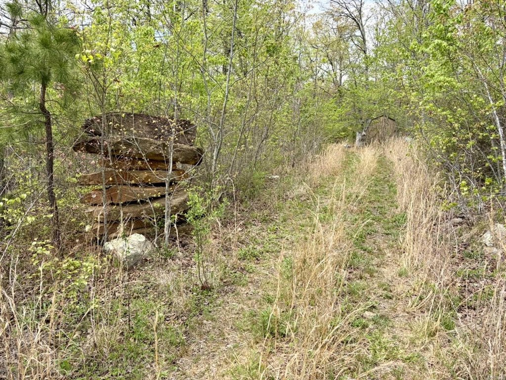 Picture 19