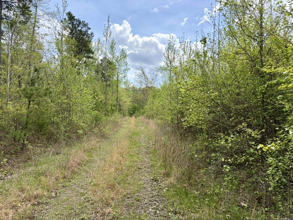 Picture 33