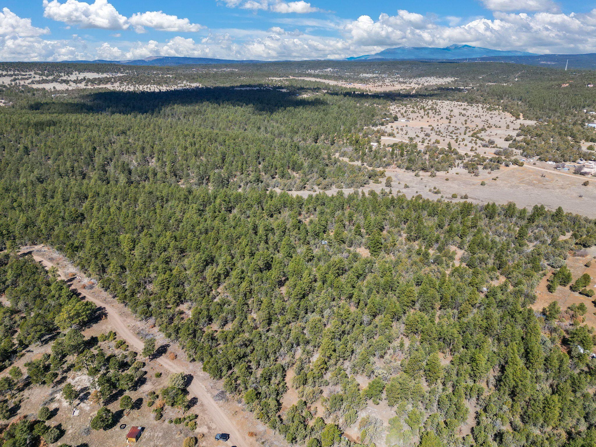 78 Acres of Land in Tijeras