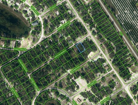 Residential Land in Lake Placid