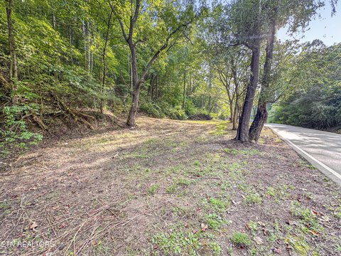 Residential Land Parcel with Power