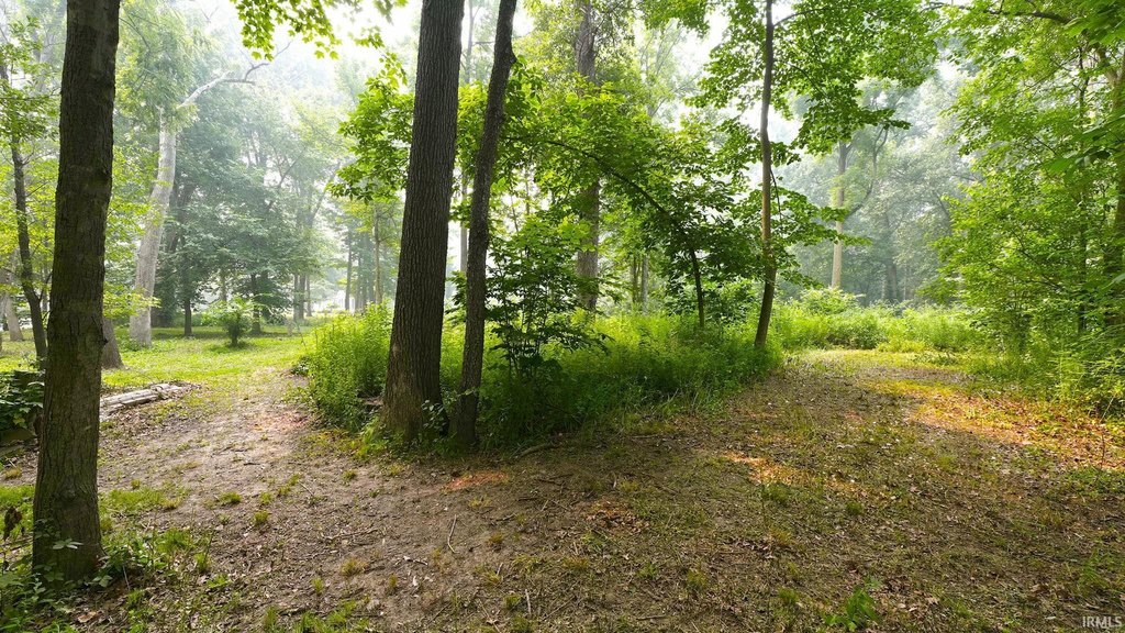 Picture 8