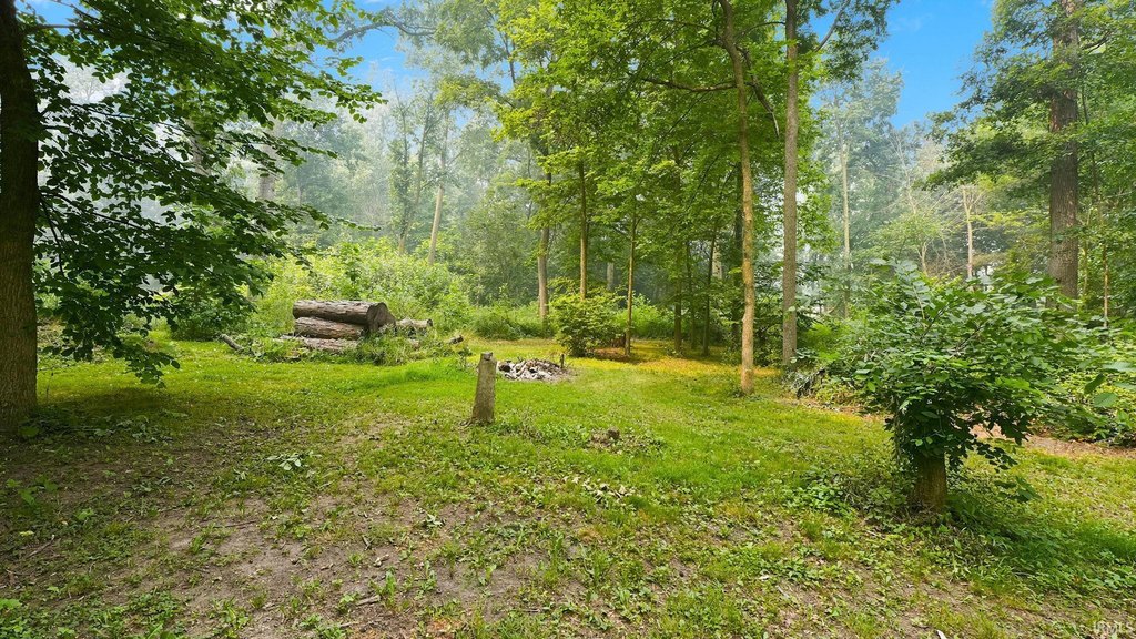 Picture 6