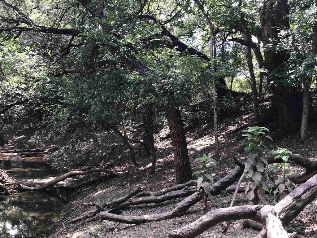 Picture 14