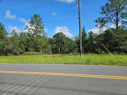 Land, BRONSON, FL
