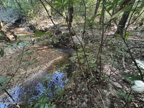 Brookhaven Land with Flowing Stream