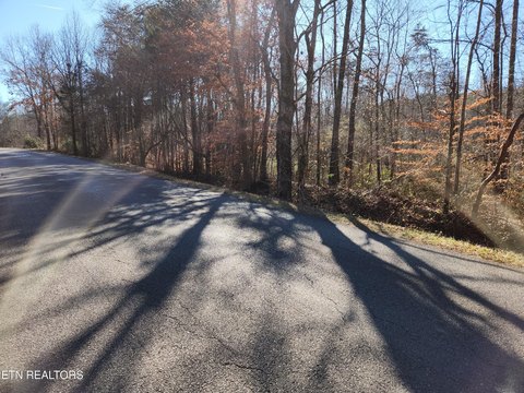 Sweetwater, TN Wooded Acreage
