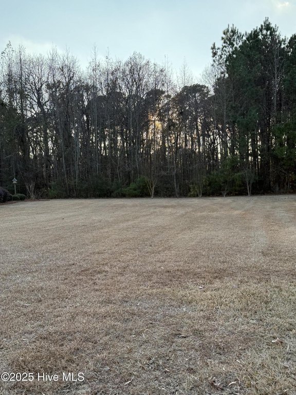 Picture 3