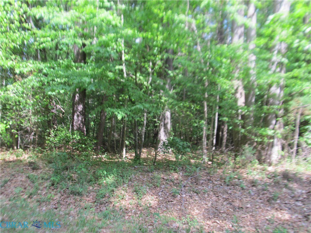 Residential Lot in Gloucester, VA