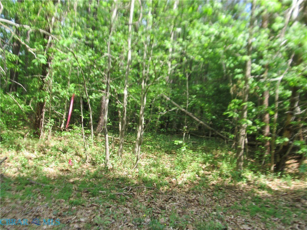 Picture 3